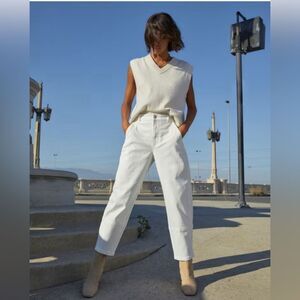 Everlane NWT Utility Barrel High Rise Minimalist Pant in Bone Beige Size 2